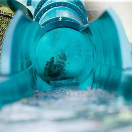 Konstantin In Trakia Plaza * Sluneční pobřeží